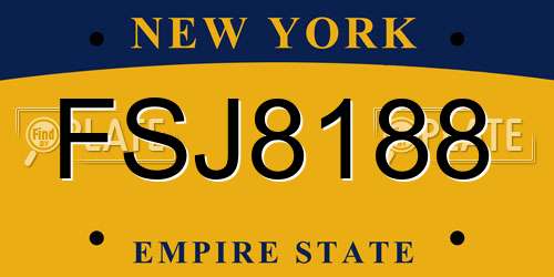 FSJ8188 New York License Plate