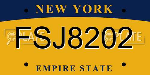 FSJ8202 New York License Plate