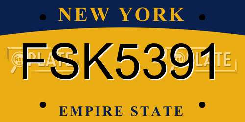 FSK5391 New York License Plate