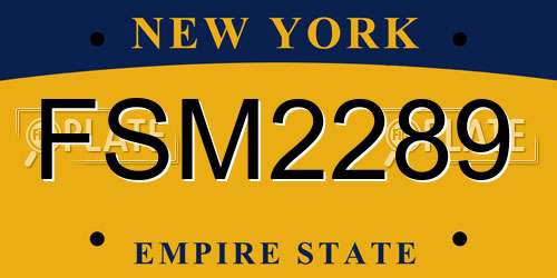 FSM2289 New York License Plate