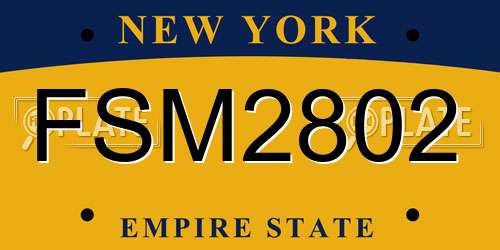FSM2802 New York License Plate
