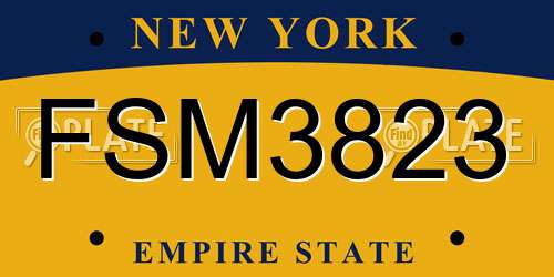 FSM3823 New York License Plate