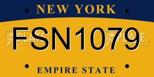 FSN1079 New York License Plate
