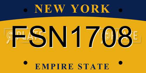 FSN1708 New York License Plate