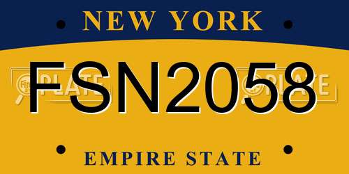FSN2058 New York License Plate