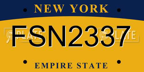 FSN2337 New York License Plate