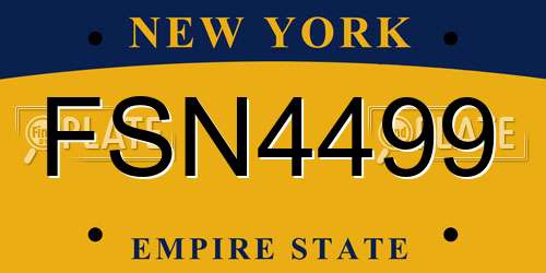 FSN4499 New York License Plate