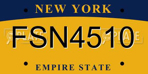 FSN4510 New York License Plate