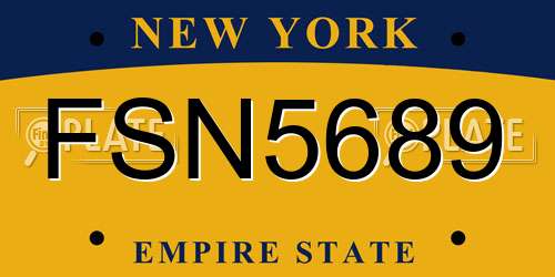 FSN5689 New York License Plate