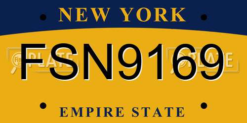 FSN9169 New York License Plate