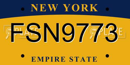 FSN9773 New York License Plate