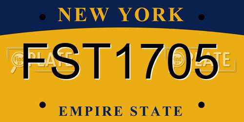 FST1705 New York License Plate