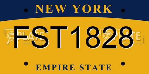 FST1828 New York License Plate