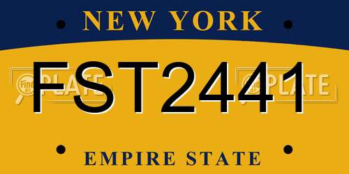 FST2441 New York License Plate