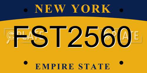 FST2560 New York License Plate
