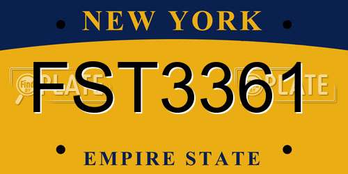 FST3361 New York License Plate