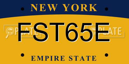 FST65E New York License Plate