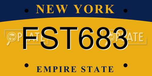 FST683 New York License Plate