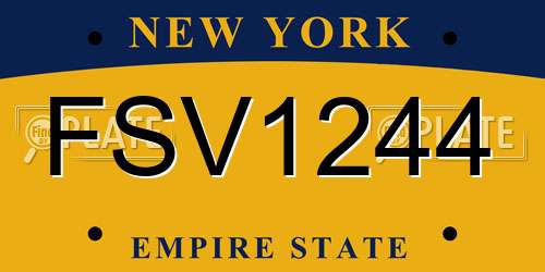 FSV1244 New York License Plate