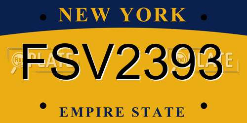 FSV2393 New York License Plate