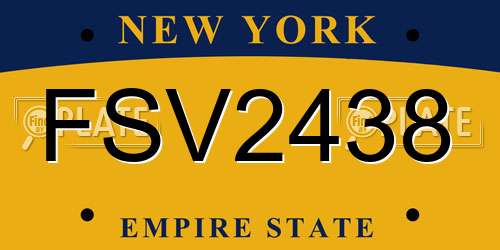 FSV2438 New York License Plate