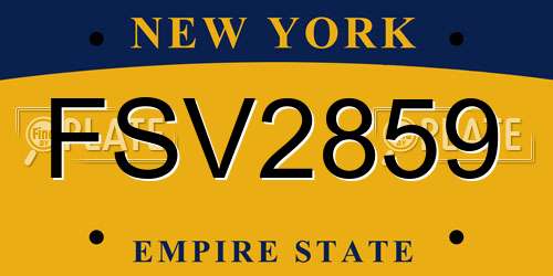FSV2859 New York License Plate
