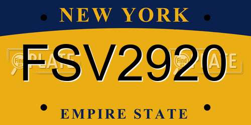 FSV2920 New York License Plate