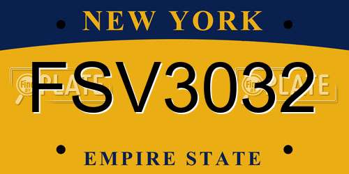 FSV3032 New York License Plate