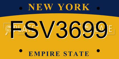 FSV3699 New York License Plate