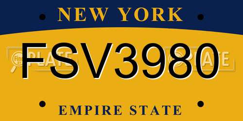 FSV3980 New York License Plate
