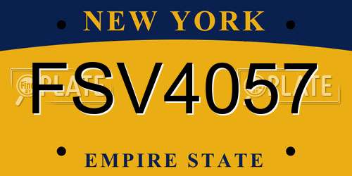 FSV4057 New York License Plate