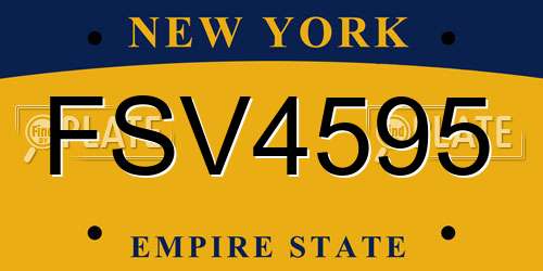 FSV4595 New York License Plate