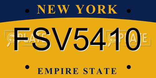 FSV5410 New York License Plate