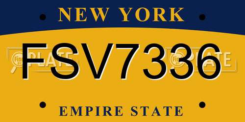 FSV7336 New York License Plate