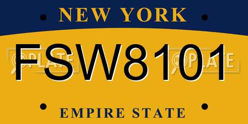 FSW8101 New York License Plate
