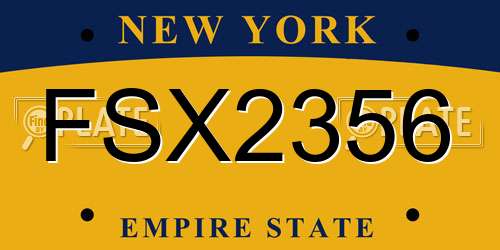 FSX2356 New York License Plate