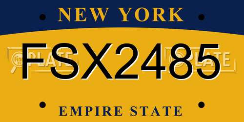 FSX2485 New York License Plate