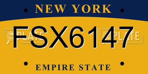 FSX6147 New York License Plate