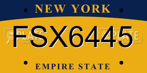 FSX6445 New York License Plate