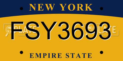 FSY3693 New York License Plate