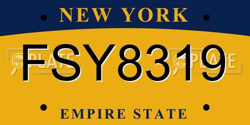 FSY8319 New York License Plate