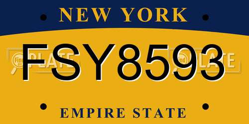 FSY8593 New York License Plate