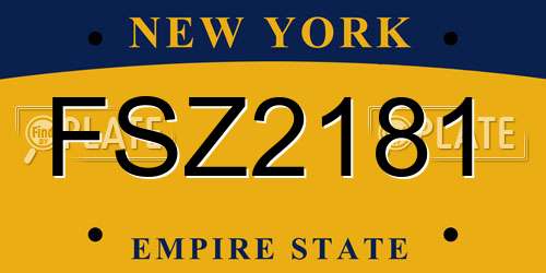 FSZ2181 New York License Plate