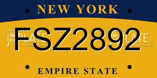 FSZ2892 New York License Plate