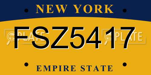 FSZ5417 New York License Plate