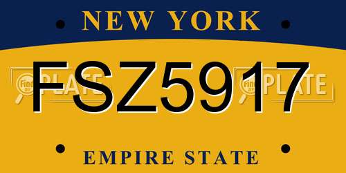FSZ5917 New York License Plate