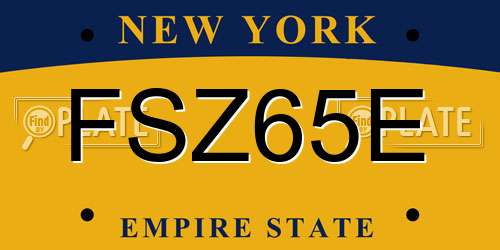 FSZ65E New York License Plate