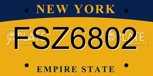 FSZ6802 New York License Plate