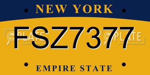 FSZ7377 New York License Plate