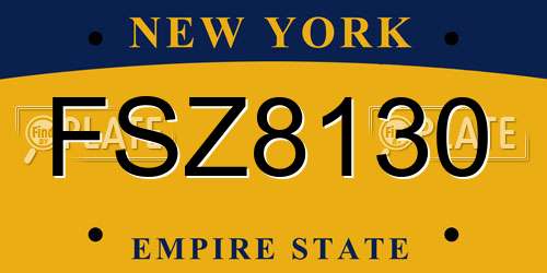 FSZ8130 New York License Plate